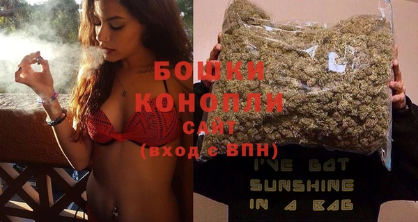 стаф Новый Уренгой