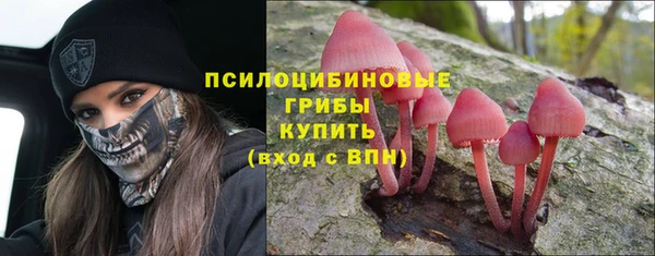 кристаллы Ладушкин