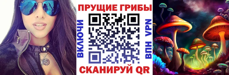 Галлюциногенные грибы Cubensis  Таштагол 